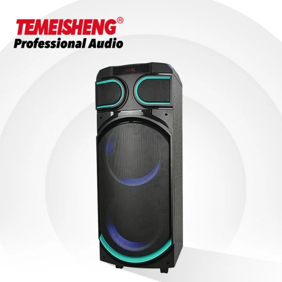 Temeisheng Party Box de 8 pulgadas, altavoz Bluetooth inalámbrico portátil profesional de 100 vatios con micrófono